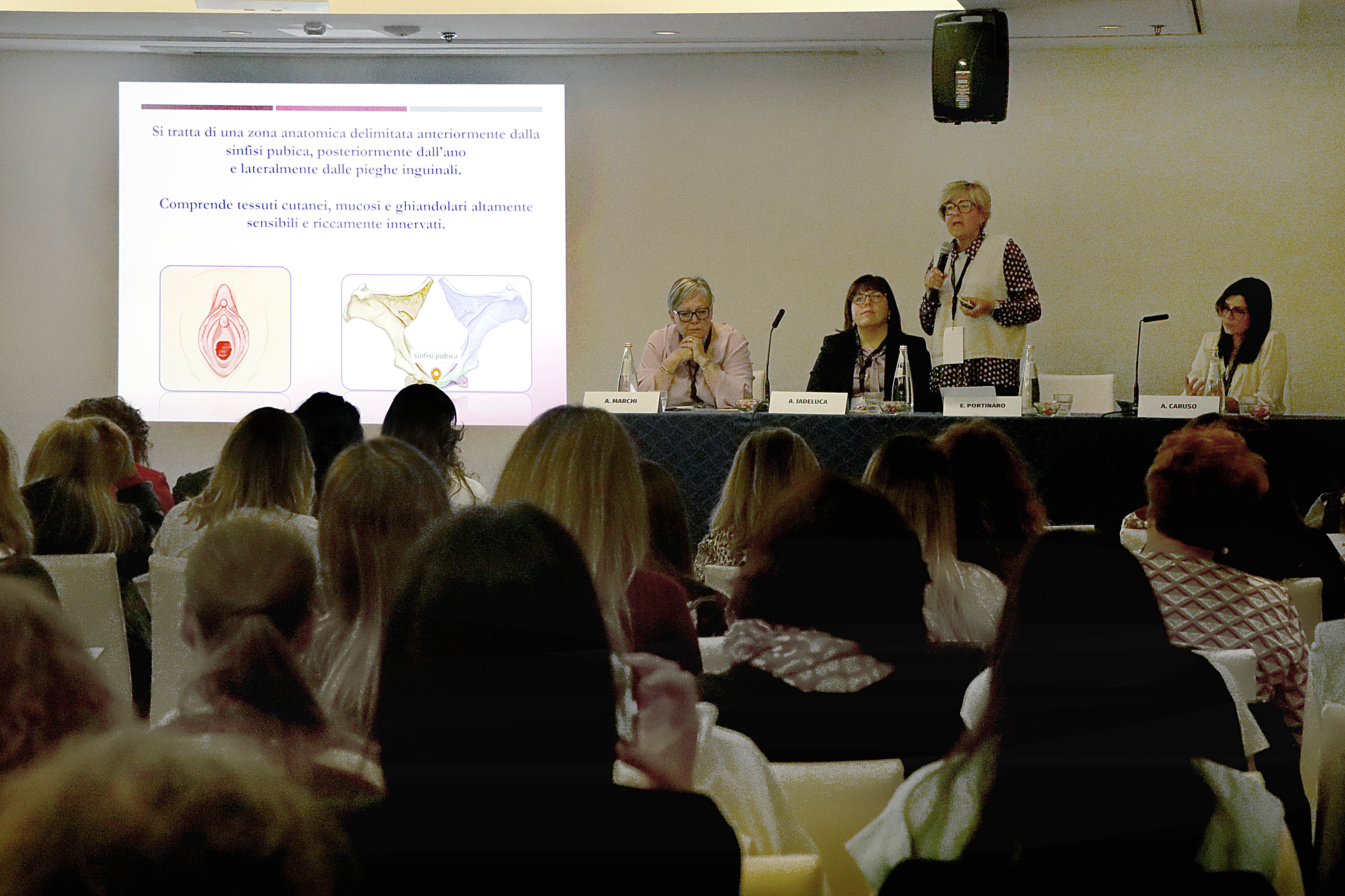 AIO_Congresso_18-10-2025 0102.jpg